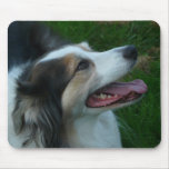 Black Tri Aussie Mousepad