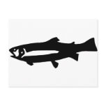 black trout fish postcards