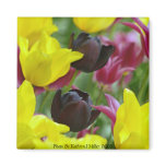Black Tulips Fridge Magnet