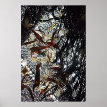 Black Weave with Petals & Seeds Print