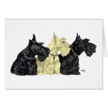 Black & Wheaten Scottish Terriers Cards