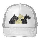 Black & Wheaten Scottish Terriers Mesh Hats