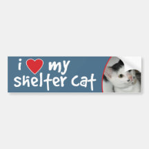 Black/White American Shorthair Bumper StickerDecal
