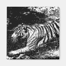Black & White Attacking Tiger Fridge Magnet