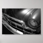 Black & White Beauty Poster