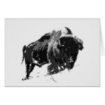 Black & White Bison / Buffalo cards