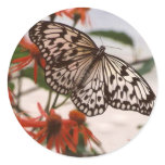 BLACK & WHITE BUTTERFLY WITH ORANGE FLOWERS STICKERS