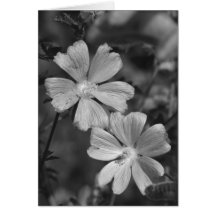 Black & White Card