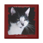 BLACK & WHITE CAT Love Magnets