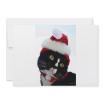 Black & White Cat Santa Hat looking left no frame Announcement