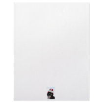 Black & White Cat Santa Hat looking left no frame Letterhead