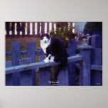 Black & White Cat Sitting on Fence Art Print