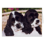 Black & White Cocker puppy card