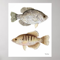 Black & White Crappies Print