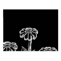 Black & White Flower Sketch Post Cards