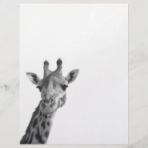 Black & White Giraffe Personalized Flyer