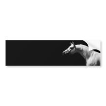 Black & White Horse Bumper Stickers