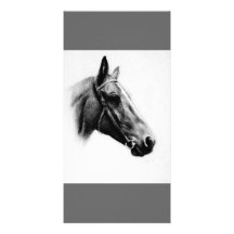 Black & White Horse Custom Photo Card