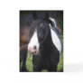 Black & White Horse - Customize Greeting Card
