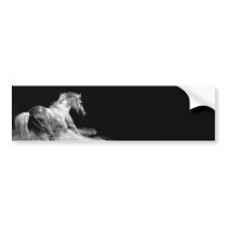 Black & White Horse in Action Bumper Sticker