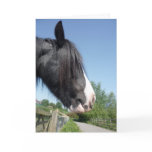 Black & White Horse Portrait Greeting Card