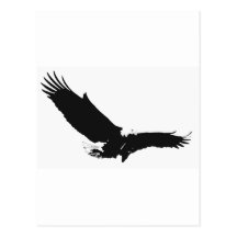 Black & White Landing Eagle Post Cards