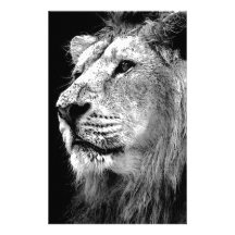 Black & White Lion Customized Stationery