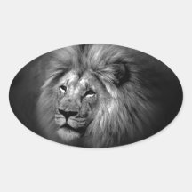 Black & White Lion Oval Stickers