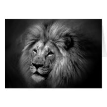 Black & White Lion Photo Greeting Card