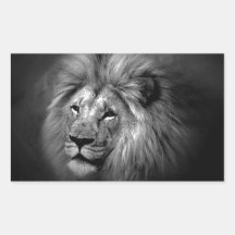 Black & White Lion Rectangular Stickers