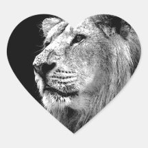 Black & White Lion Stickers