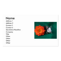 Black White Mouse and Orange tea rose Business Card