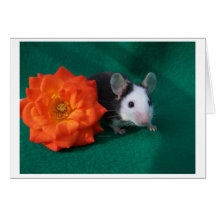 Black White Mouse and Orange tea rose Greeting Card