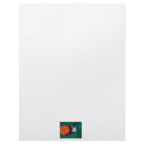 Black White Mouse and Orange tea rose Letterhead