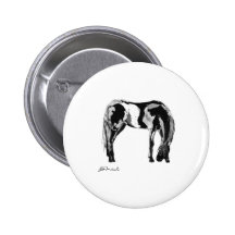 Black white pinto horse