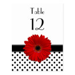 Black & White Polka Dot Red Gerbera Table Card Postcard