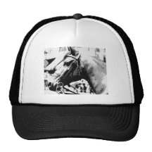 Black & White Pop Art Horse Hats