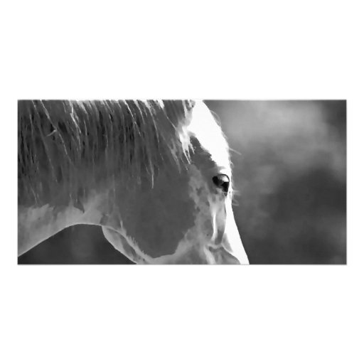 Black & White Pop Art Horse Photo Greeting Card