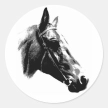 Black & White Pop Art Horse Round Stickers