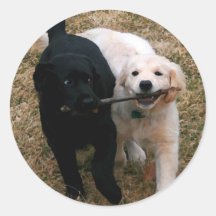 Black & white puppies stickers