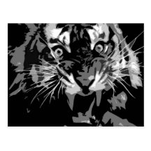 Black & White Roaring Tiger Postcard