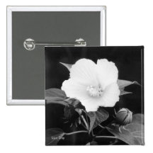 Black & White Rose Mallow Square Button