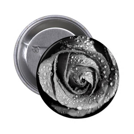 Black & White Rose With Dew Drops Pins