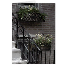 Black &  White  steps Cards