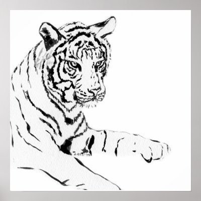 Black & White Tiger Sketch by donnabellas