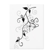 Black & white vector ivy swirl branch silhouette post cards