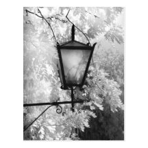 Black & White view of light fixture Postcards