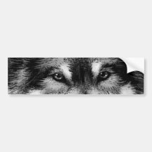 Black & White Wolf Bumper Stickers