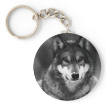Black & White Wolf