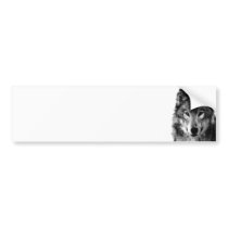 Black & White Wolf Portrait